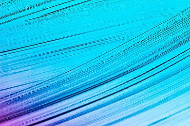 《帝国时代2：决定版》“重返罗马”资料片上市日期公布